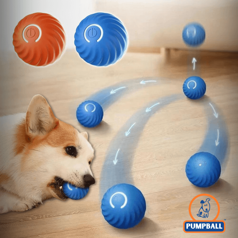 PumpBall™ - Brinquedo Inteligente para Cães - ame&loja