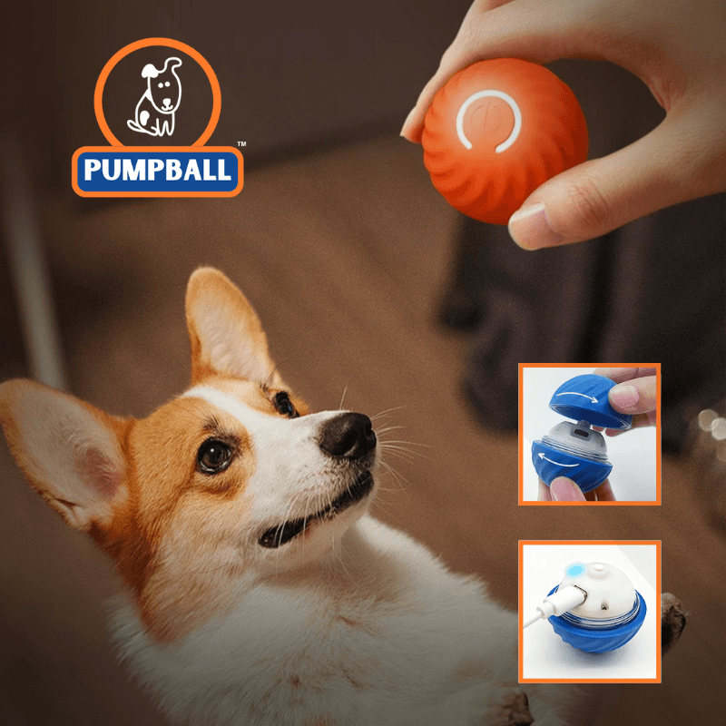 PumpBall™ - Brinquedo Inteligente para Cães - ame&loja