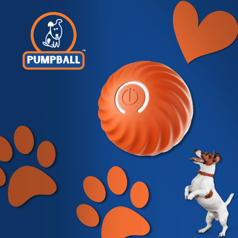 PumpBall™ - Brinquedo Inteligente para Cães - ame&loja